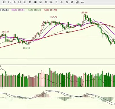 黄耀国期货循环点系统和期货周评解盘视频下载